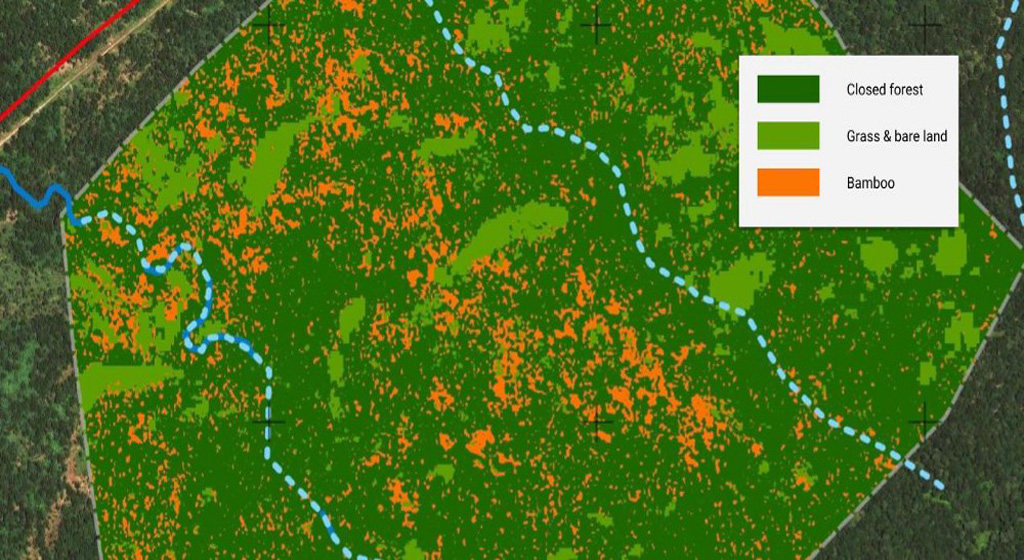 Land cover analysis